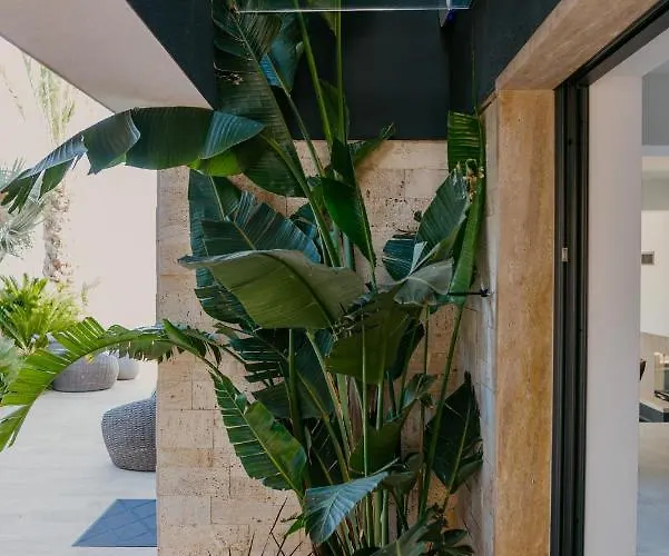 Villa Bloomhill Escape Trogir